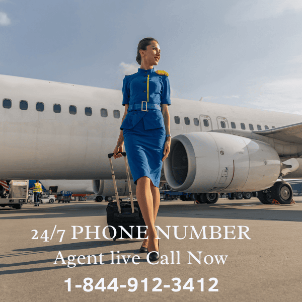 20 Contact Methods to Speak with Frontier Airlines Without the Hassle